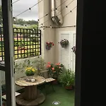 Palomas