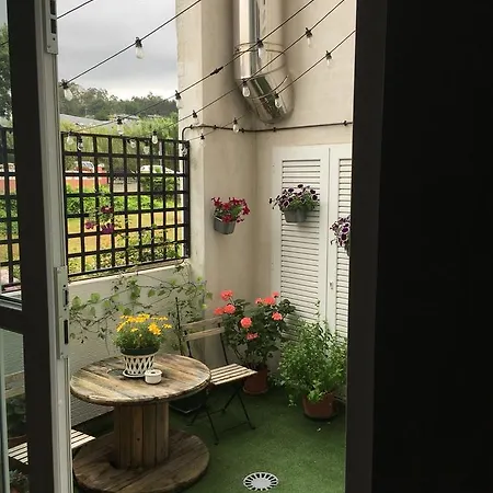 Palomas