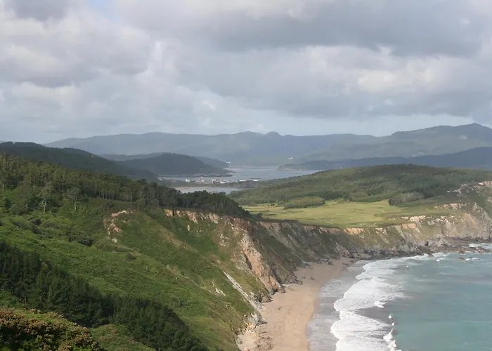 Palomas Porto de Espasante