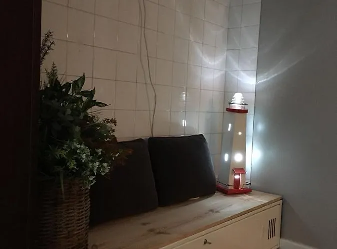 Palomas Porto de Espasante